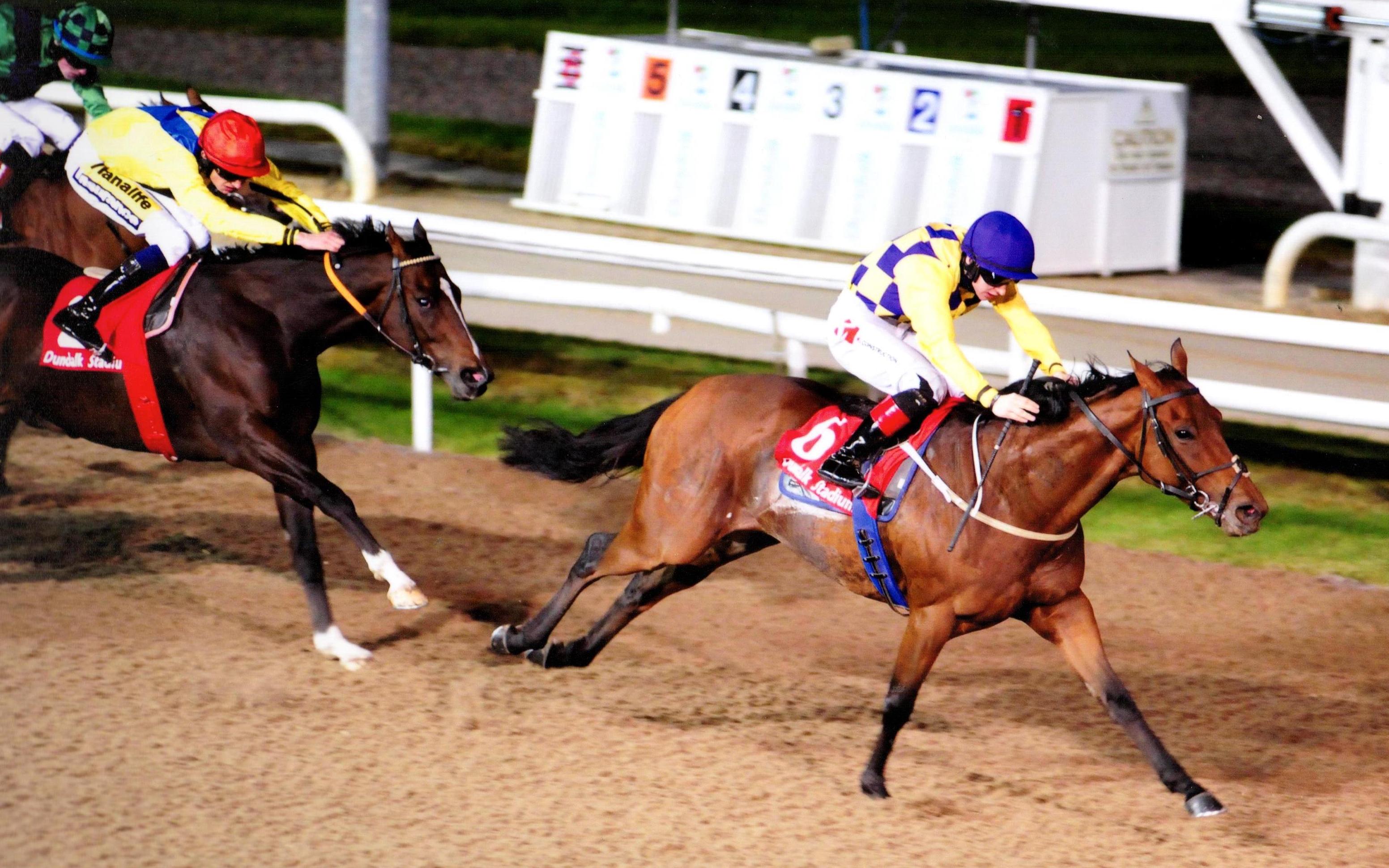 RECKLESS ENDEAVOUR brings up his second win of the season At Dundalk 29th September 2017